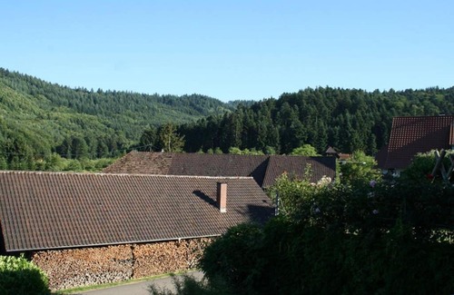 Gengenbach Apartment | Family-Friendly Ferienwohnung Höhner with Top Guest Ratings