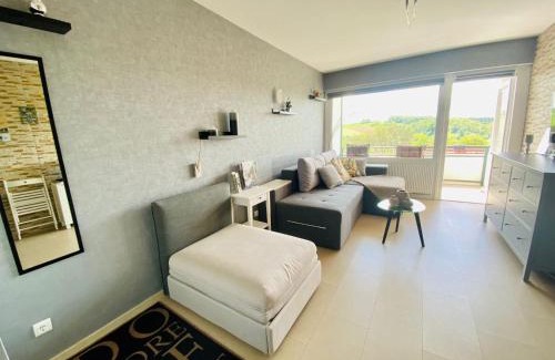 Bad Lauterberg Apartment | Inviting Ferienwohnung "HAGEBUTZE" with Pool & Ocean View