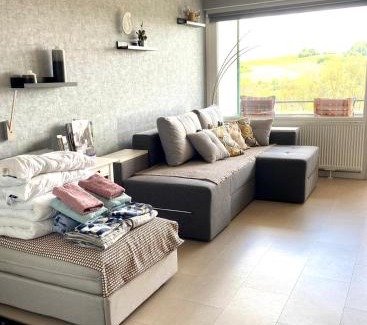 Bad Lauterberg Apartment | Inviting Ferienwohnung "HAGEBUTZE" with Pool & Ocean View