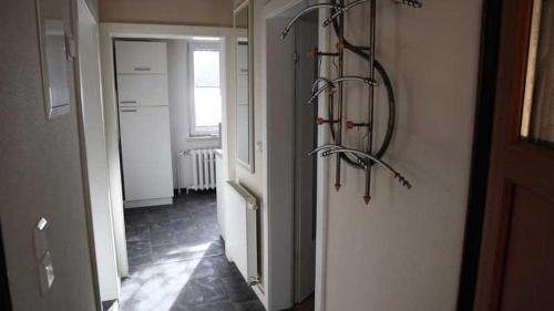 Wernigerode Apartment | Child-Friendly Ferienwohnung Harz Moni Werner - 10/10 Rated