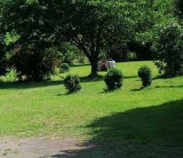 Stendal Apartment | Cozy Retreat at Haus Elisa 2: Pet & Child Friendly