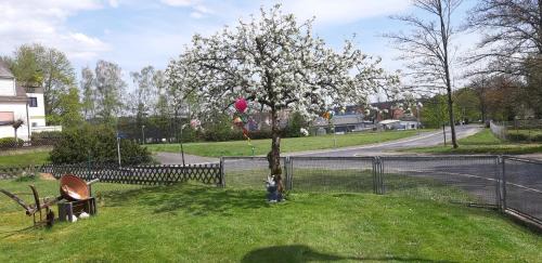 Selb Apartment | Cozy Ferienwohnung Heidi - Ideal for Families & Rated 8.4/10
