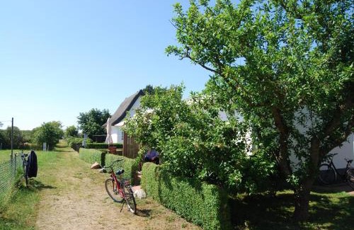 Vitte Apartment | Family-Friendly Ferienwohnung Hiddensee in Vitte, 9/10 Rating
