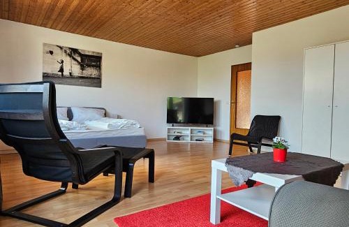 Hitzacker Apartment | Budget-Friendly Apartments in Germany with High Guest Ratings