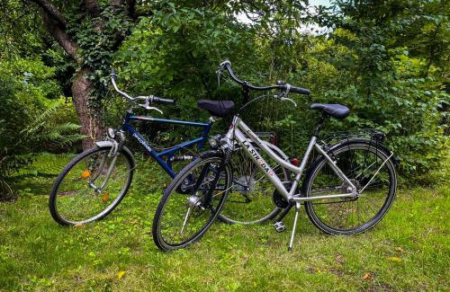 Hitzacker Apartment | Family-Friendly Ferienwohnung Hitzacker/Elbe with High Ratings