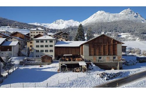 Grisons Apartment | Family-Friendly Ferienwohnung Hof Collet with Great Reviews