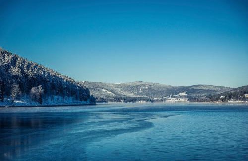Schluchsee Apartment | Family-Friendly Ferienwohnung "Hygge" in Schluchsee - 9/10 Rated