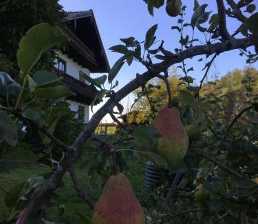 Brannenburg Apartment | Ferienwohnung im bayerischen Inntal