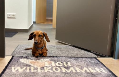 Engen Apartment | Top-Rated Ferienwohnung im Glockenziel - Pet Friendly Stay