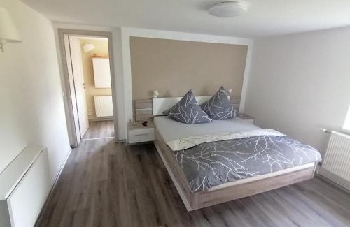 Großhartmannsdorf Apartment | Discover Family & Pet-Friendly Ferienwohnung in Mittelsaida