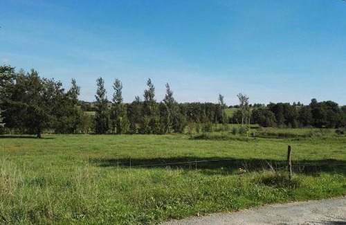 Großhartmannsdorf Apartment | Discover Family & Pet-Friendly Ferienwohnung in Mittelsaida