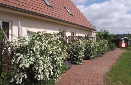 Muritz Apartment | Cozy Holiday Apartment in the Beautiful Mecklenburg Lakes