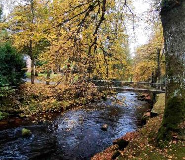 Bad Wildbad Apartment | Relaxing Forest Retreat with Pet-Friendly Amenities