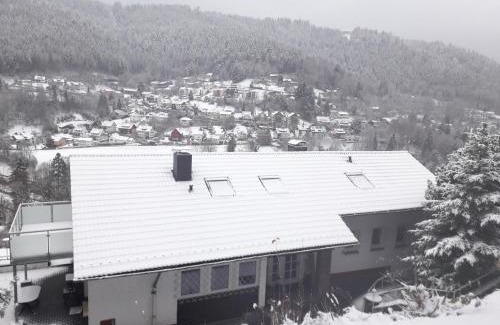 Bad Wildbad Apartment | Relaxing Forest Retreat with Pet-Friendly Amenities