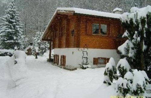 Walkenried Apartment | Beautiful Ferienwohnung in Walkenried with Garden Retreat