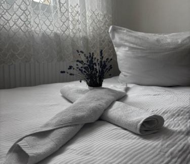 Adorf Apartment | Ferienwohnung Iridam