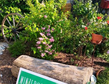 Apetlon Apartment | Ferienwohnung Josef Kracher