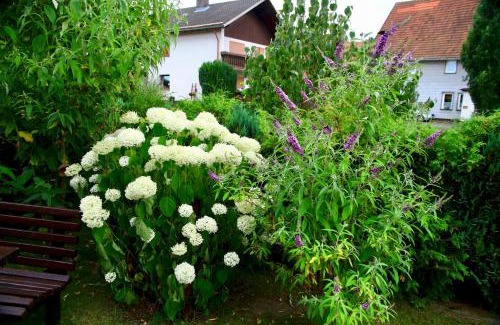 Badenhausen Apartment | Ideal Family Retreat at Ferienwohnung Koch - 4 Star Rated