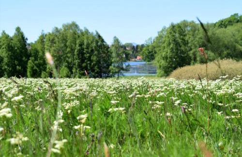 Stiege Apartment | Family-Friendly Ferienwohnung Kopp with 9/10 Guest Rating