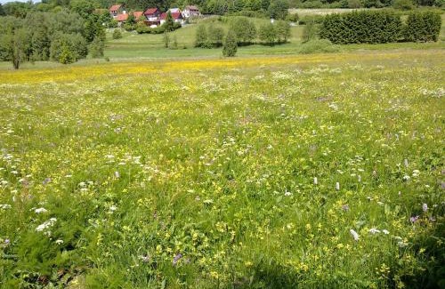 Stiege Apartment | Family-Friendly Ferienwohnung Kopp with 9/10 Guest Rating