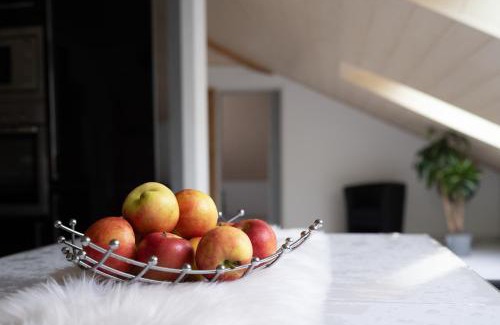 Osburg Apartment | Guest Rated 9.8: Family & Pet-Friendly Ferienwohnung Krist