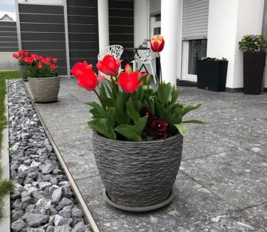 Bermatingen Apartment | Discover Ferienwohnung Lis - Guest Rated 9.5/10