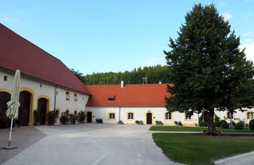 Hayingen Apartment | Cozy Ferienwohnung Mönch with Kitchen & Breakfast Included