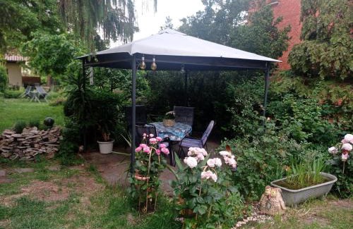 Blankenburg Apartment | Cozy Ferienwohnung Markert: Pet-Friendly Retreat Awaits