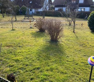 Langenargen Apartment | Pet-Friendly Getaway at Ferienwohnung Mayer - Rated 9.1/10