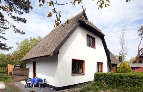 Ostseebad Ahrenshoop Apartment | Cozy Apartments in Germany - Pet & Child Friendly Retreat