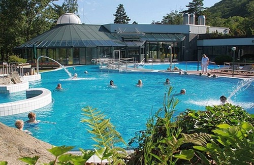 Bad Harzburg House | Relaxing Ferienwohnung Mester with Pool and Spa Amenities