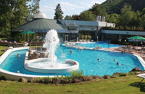 Bad Harzburg House | Relaxing Ferienwohnung Mester with Pool and Spa Amenities