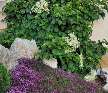 Flußbach Apartment | Outstanding Ferienwohnung MIA: Child-Friendly Retreat