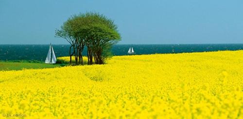 Trappenkamp Apartment | Top-Rated Michaelas HUUS: Pet-Friendly Stay by the Sea