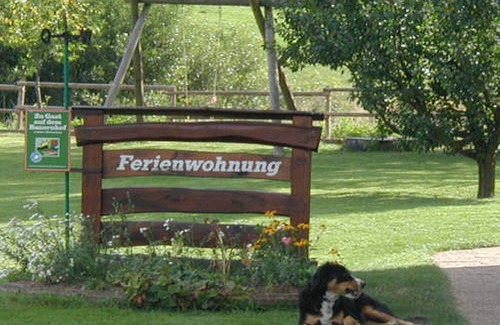 Sankt Georgen im Schwarzwald Apartment | Exceptional Comfort: Family-Friendly Apartment for 5 Guests