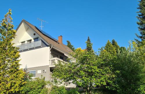 Pfeffingen Apartment | Scenic Apartment with Exceptional Views and Family-Friendly Perks