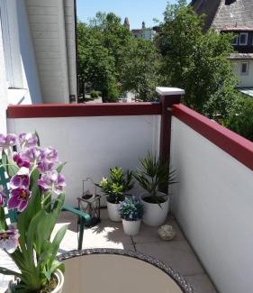 Unterallgau Apartment | Pet-Friendly Retreat at Ferienwohnung Mittl with Top Reviews