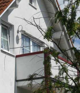 Unterallgau Apartment | Pet-Friendly Retreat at Ferienwohnung Mittl with Top Reviews