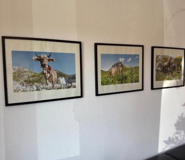 Goppertsweiler Apartment | Exceptional Ferienwohnung Near Bodensee with Family Amenities