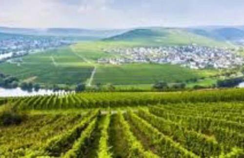 Mastershausen Apartment | Family-Friendly Ferienwohnung Nicolay with Great Reviews