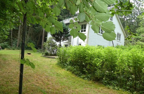 Lutterloh Apartment | Pet-Friendly Retreat at Ferienwohnung Niemann in Lutterloh