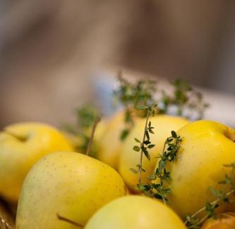 Damuels Apartment | Top-Rated Ferienwohnung Oberdamüls with Hot Tub & Pet Friendly