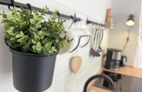 Bad Lauterberg Apartment | Experience Nature at Ferienwohnung Oderblick - Bike Friendly