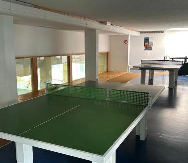 Sankt Englmar Apartment | Ferienwohnung Predigtstuhl Resort
