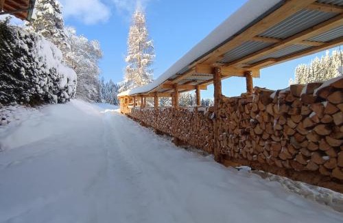 Wildschoenau Apartment | Cozy Ferienwohnung Pusteblume with Oceanfront Views