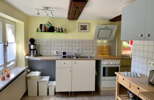 Wildemann Apartment | Pet-Friendly Ferienwohnung Pusteblume with Kitchen Access