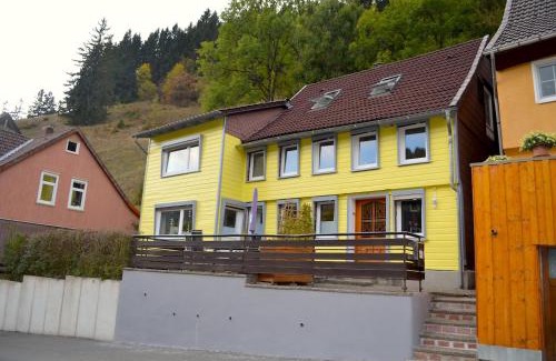 Wildemann Apartment | Pet-Friendly Ferienwohnung Pusteblume with Kitchen Access