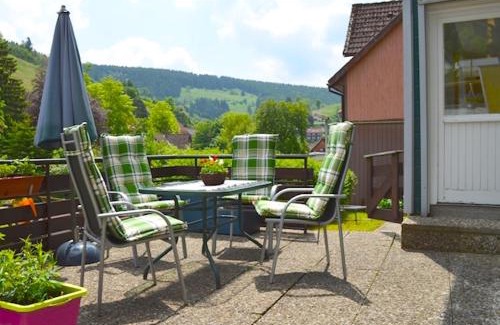 Wildemann Apartment | Pet-Friendly Ferienwohnung Pusteblume with Kitchen Access