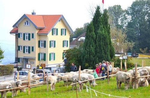 Wolfhalden Apartment | Lakeview Ferienwohnung Rätia: Family-Friendly Retreat