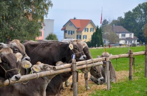 Wolfhalden Apartment | Lakeview Ferienwohnung Rätia: Family-Friendly Retreat